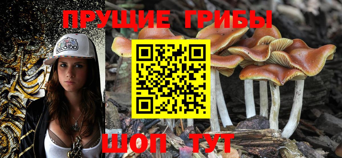 цена   Вход с VPN  Златоуст  Псилоцибиновые грибы MAGIC MUSHROOMS 